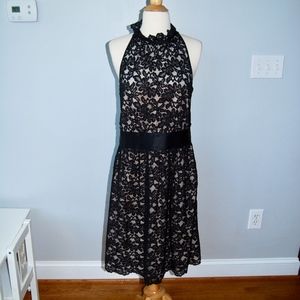 Black Lace High Collar Dress w Champagne Underlay